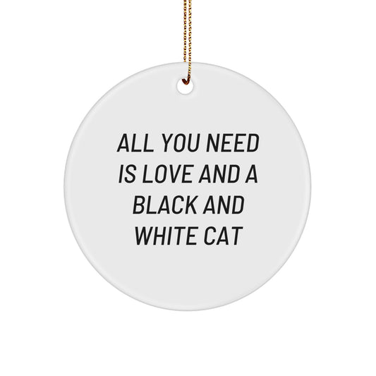 Black and White Cat Lover Gifts from Friends for Black and White Cat, Funny Circle Ornament for Christmas Decorations - Image 1