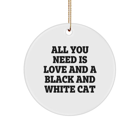 Funny Black and White Cat Gifts from Men to Friends, Unique Christmas Circle Ornament with 'All You Need Is Love And A Black And White Cat' Quote - Image 1