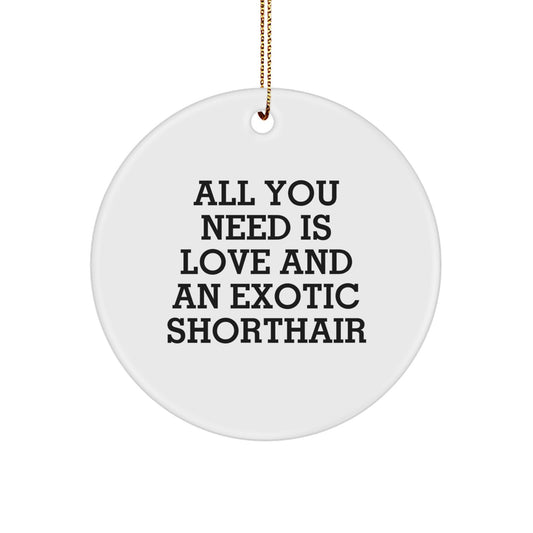 Exotic Shorthair Cat Gifts from Friends - Circle Ornament with Quote 'All You Need Is Love And An Exotic Shorthair' - Christmas Unique Gifts - Image 1