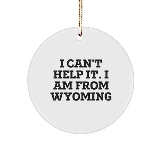 Wyoming Circle Ornament Funny Quote Gifts from Friends and Family for Christmas Unique Wyoming Decorations - Image 1