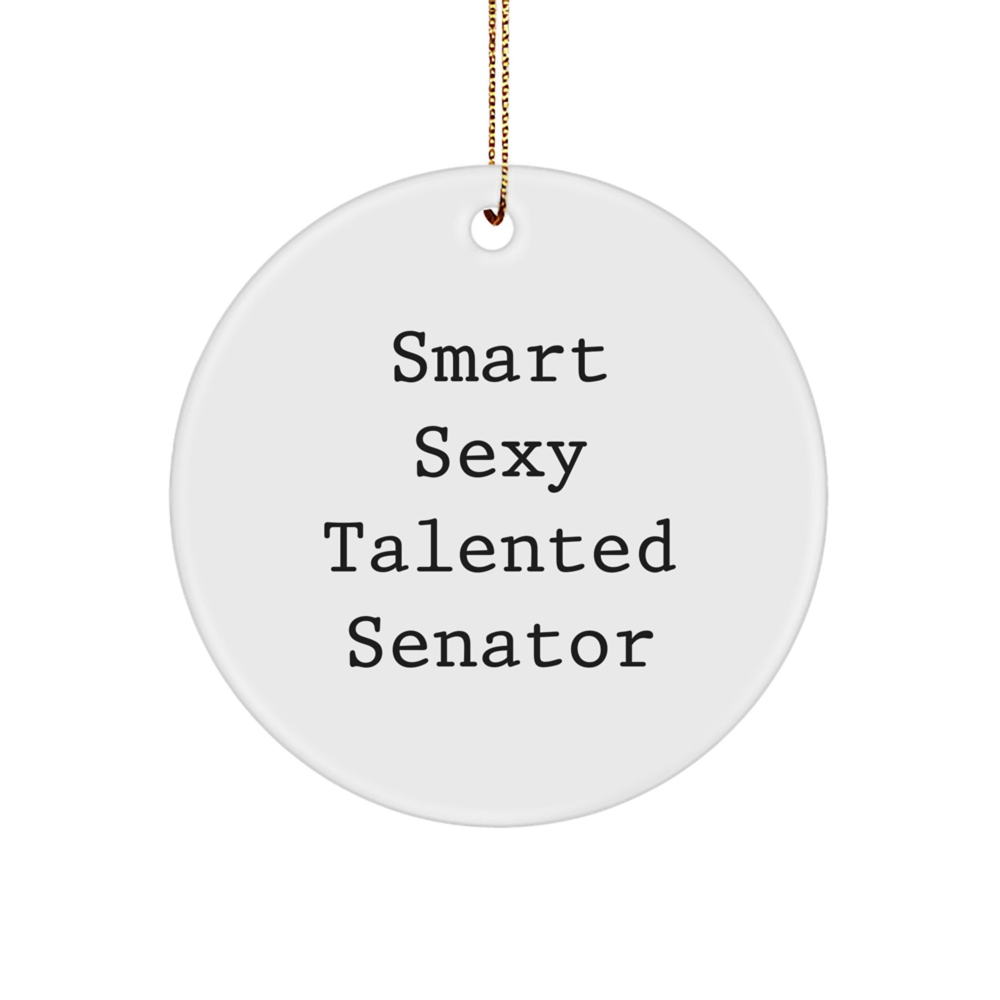 Smart Sexy Talented Senator Gifts for Christmas - Circle Ornament with Funny Quote - Image 1