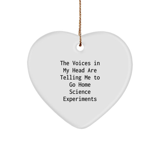 Funny Home Science Experiments Gifts from Men to Women, Heart Ornament for Christmas Unique Gifts for Home Science Enthusiasts - Image 1