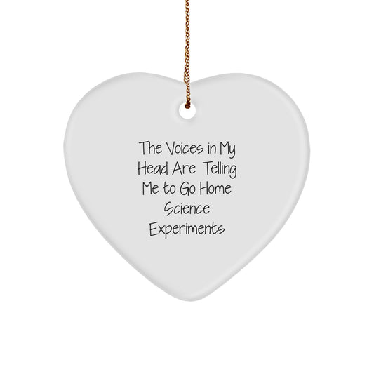 Funny Home Science Experiments Gifts from Men, Women, Friends, Coworkers, Family for Home Science Experiments Enthusiasts, Christmas Unique Gifts - Image 1