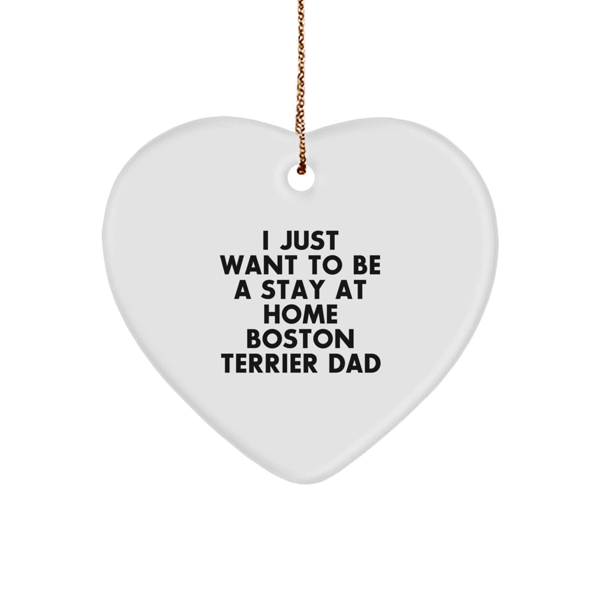 Funny Boston Terrier Dog Gifts from Men to Boston Terrier Dad Fathers for Christmas Unique Gifts - Image 1