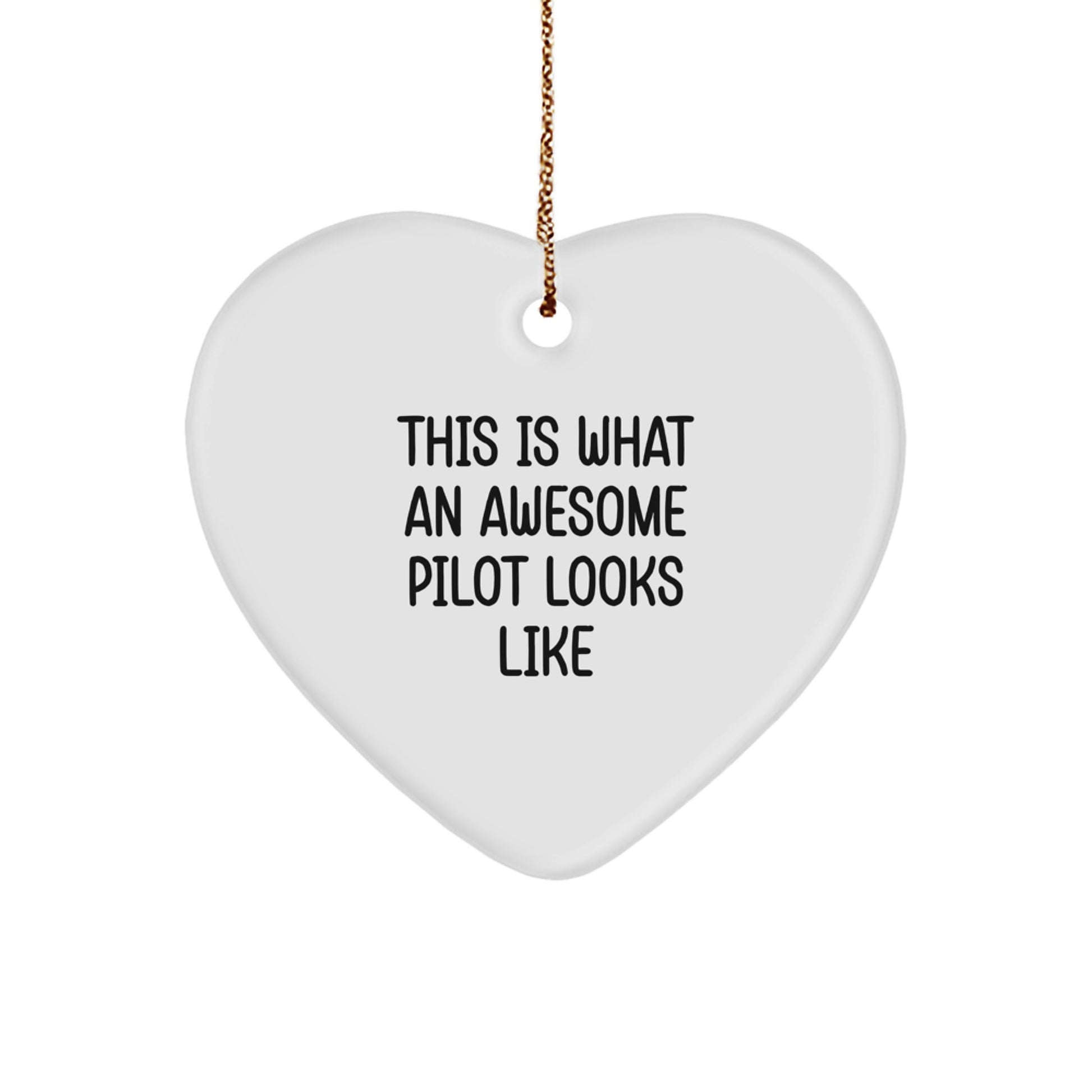 Funny Pilot Gifts from Friends for Men Christmas Unique Heart Ornament This Is 'What An Awesome Pilot Looks Like' - Image 1