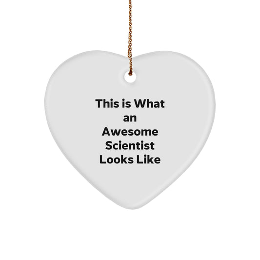 Funny Scientist Heart Ornament Gifts from Friends for Men Christmas Unique Gifts - Image 1
