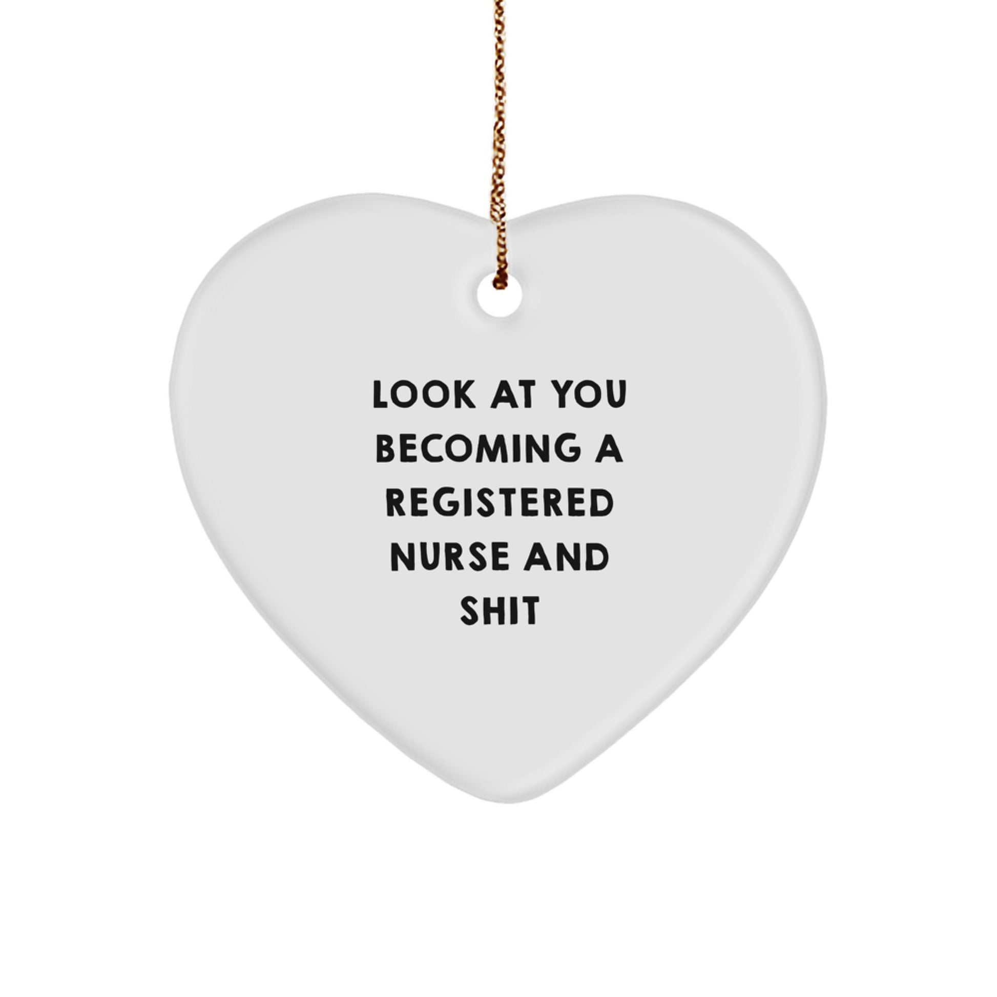 Funny Gift for Registered Nurses, Heart Ornament, Look At You Becoming A Registered Nurse And Shit - Image 1
