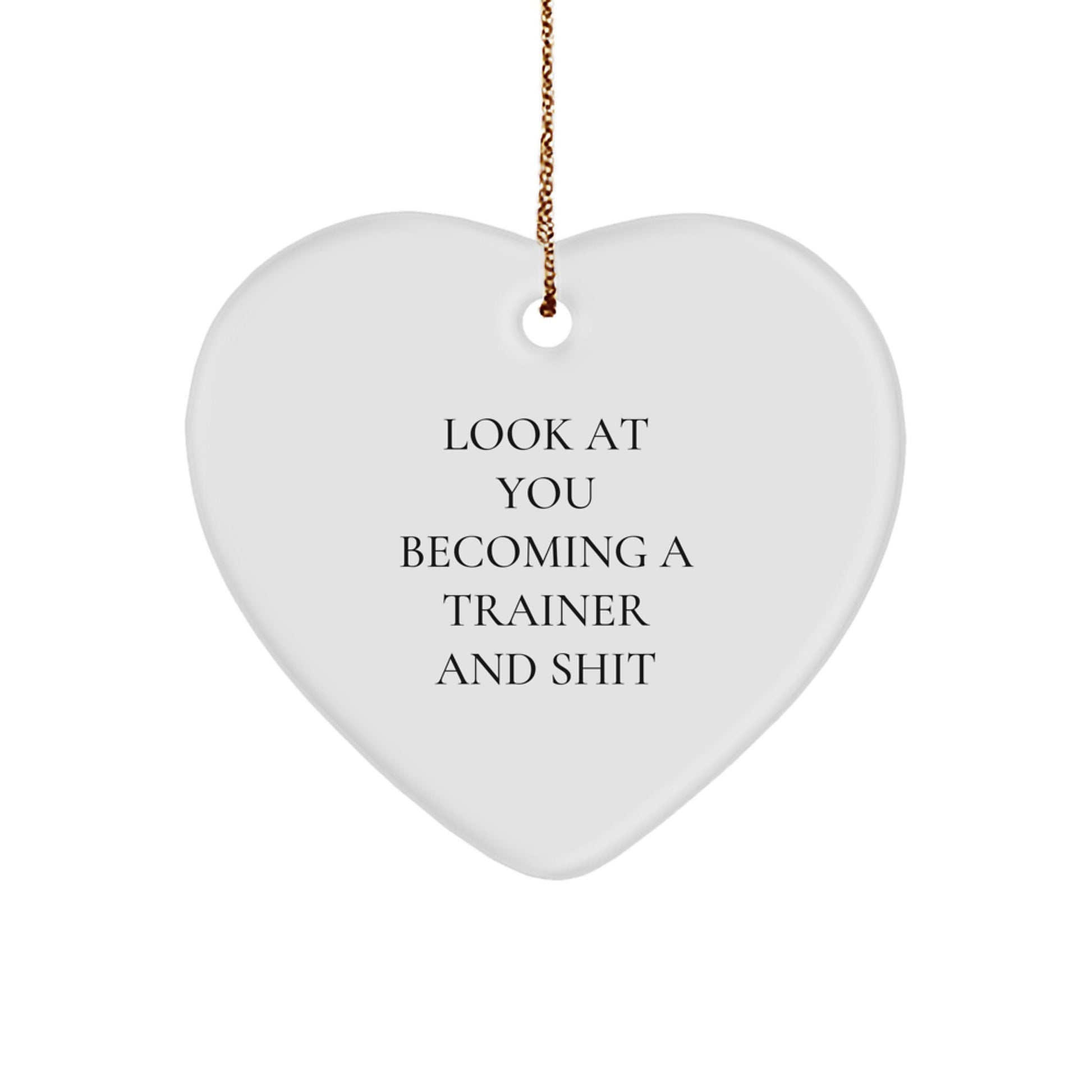 Funny Trainer Heart Ornament Gifts from Friends and Family for Trainers, Unique Christmas Unique Gifts, Trainer Quote Decor - Image 1