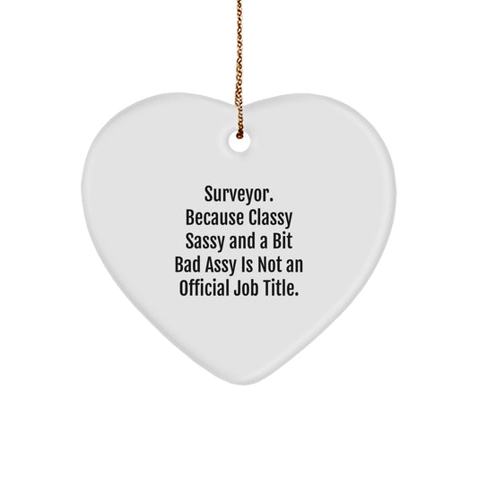 Funny Surveyor Heart Ornament Gifts from Friends for Surveyor, Heart Ornament, Christmas Unique Gifts, Gifts from Men, Gifts for Surveyor - Image 1
