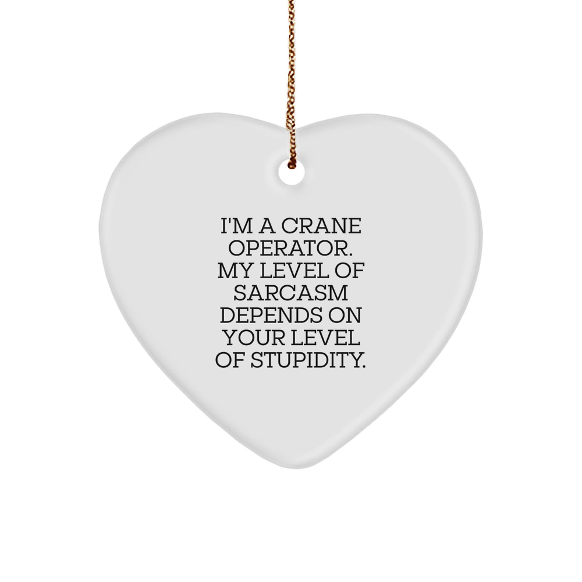 Funny Crane Operator Gifts from Men for Crane Operator Christmas Unique Gifts - Image 1
