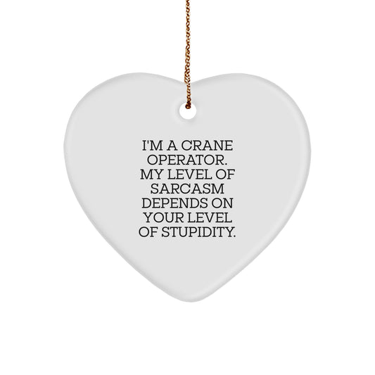 Funny Crane Operator Gifts from Men for Crane Operator Christmas Unique Gifts - Image 1