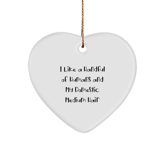 Funny Domestic Medium Hair Cat Heart Ornament Gifts from Friends to Friends - I Like A Handful Of Humans And My Domestic Medium Hair Christmas Unique Gifts - Image 1