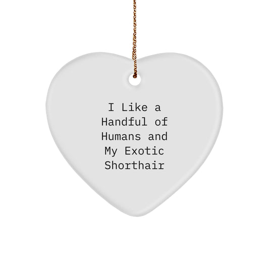 Exotic Shorthair Cat Gifts, Funny Quote Heart Ornament, Perfect for Exotic Shorthair Cat Lovers, Gifts from Men to Exotic Shorthair Cat Owners, Gifts for Exotic Shorthair Cat at Christmas - Image 1