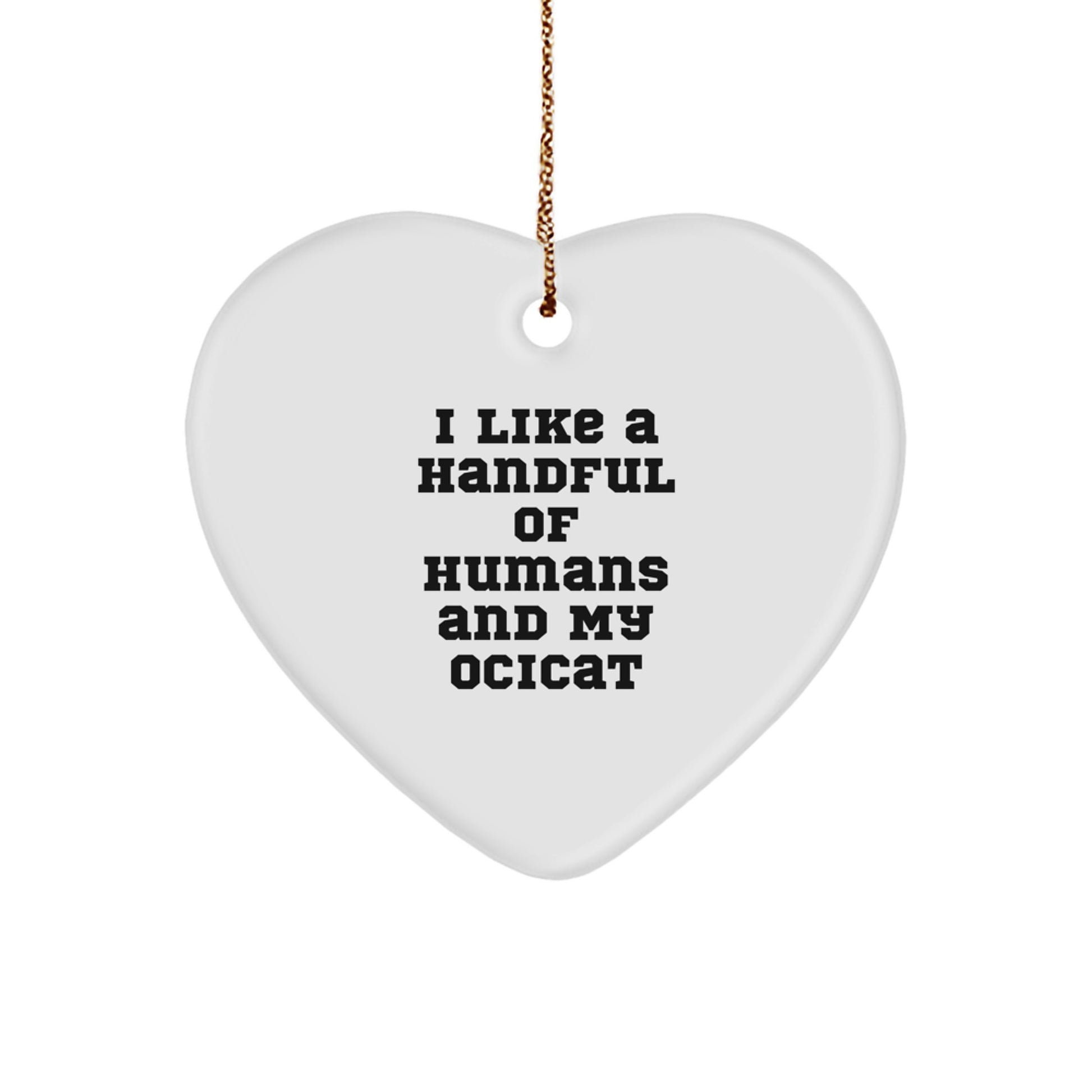 Funny Ocicat Gifts from Friends to Family for Christmas Unique Decorations - Image 1