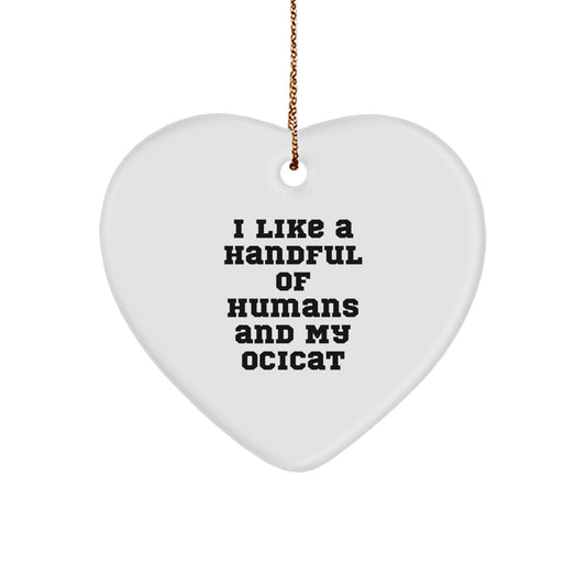 Funny Ocicat Gifts from Friends to Family for Christmas Unique Decorations - Image 1
