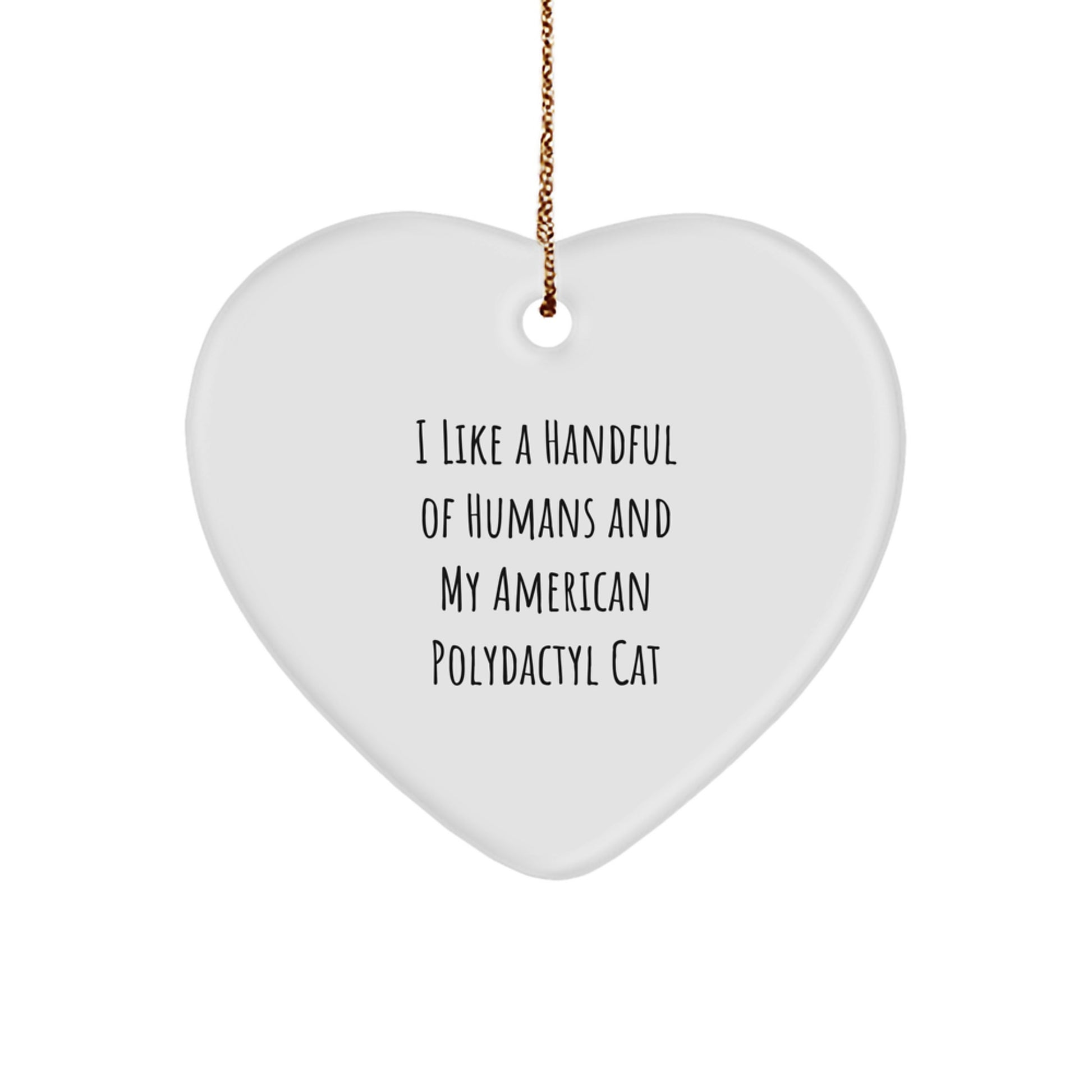 Funny American Polydactyl Cat Lover Heart Ornament Gifts from Men to Family for Christmas Unique - Image 1
