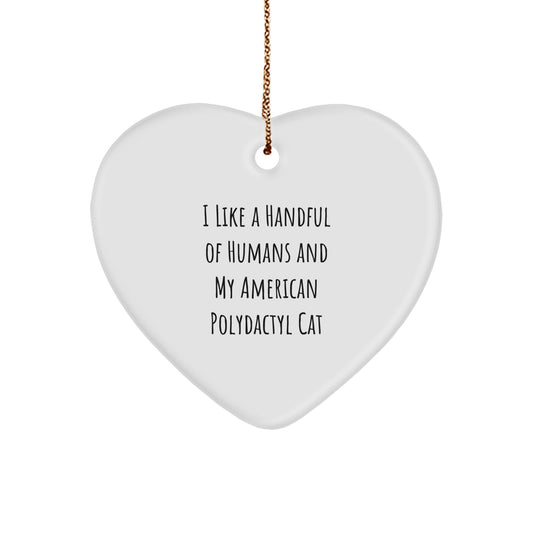 Funny American Polydactyl Cat Lover Heart Ornament Gifts from Men to Family for Christmas Unique - Image 1