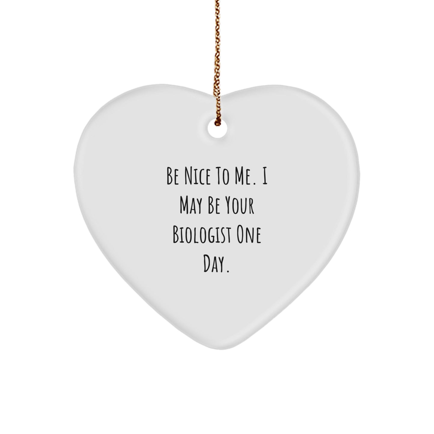 Funny Biologist Gifts from Friends, Heart Ornament for Biologist Men, Be 'Nice to Me' Inspirational Christmas Unique Decor - Image 1