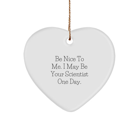 Funny Scientist Gifts from Men to Friends - Be Nice To Me Heart Ornament for Christmas Unique Gifts - Image 1