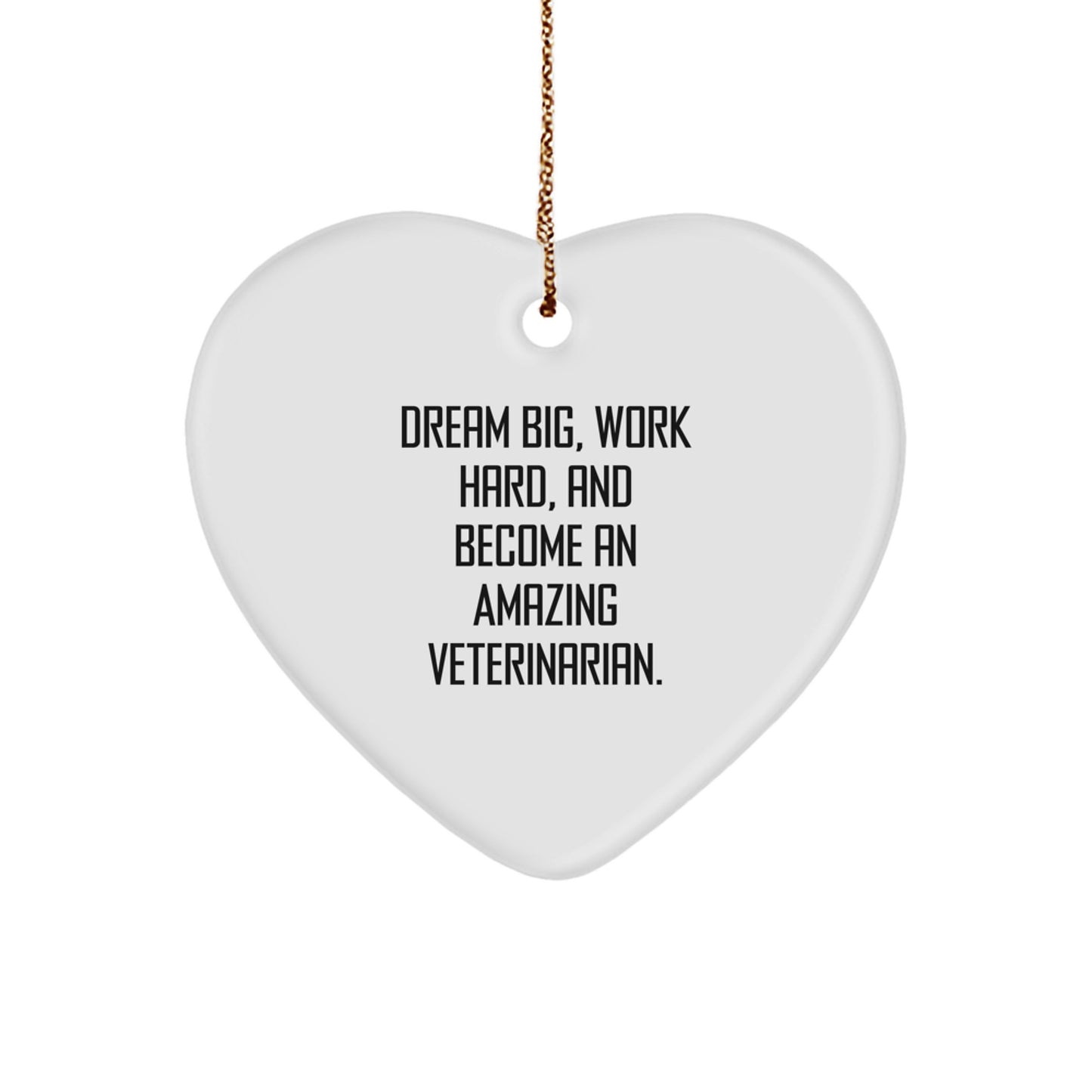 Funny Veterinary Heart Ornaments Gifts from Men to Friends on Christmas Unique Gifts - Dream Big Work Hard Quote - Image 1