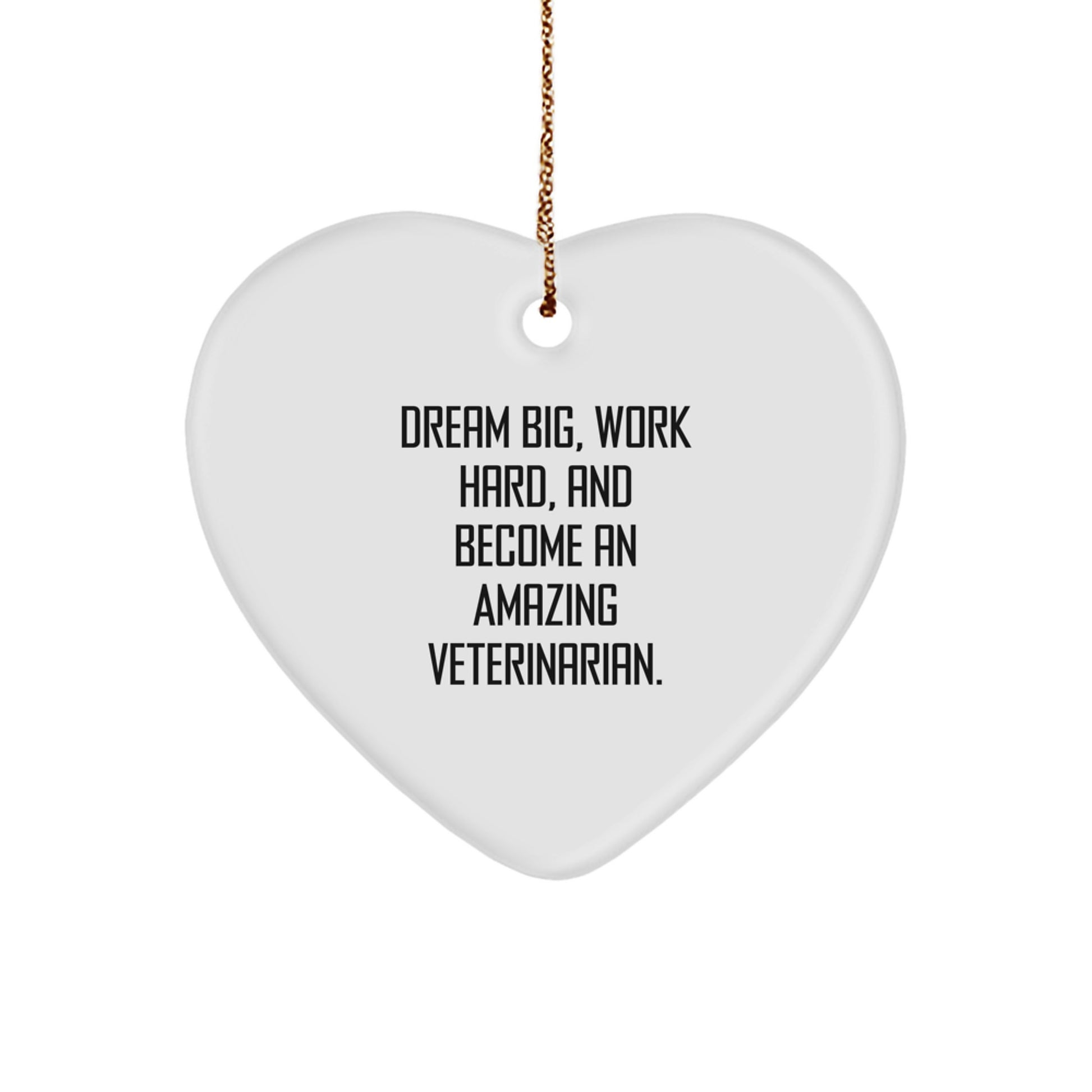 Funny Veterinary Heart Ornaments Gifts from Men to Friends on Christmas Unique Gifts - Dream Big Work Hard Quote - Image 1