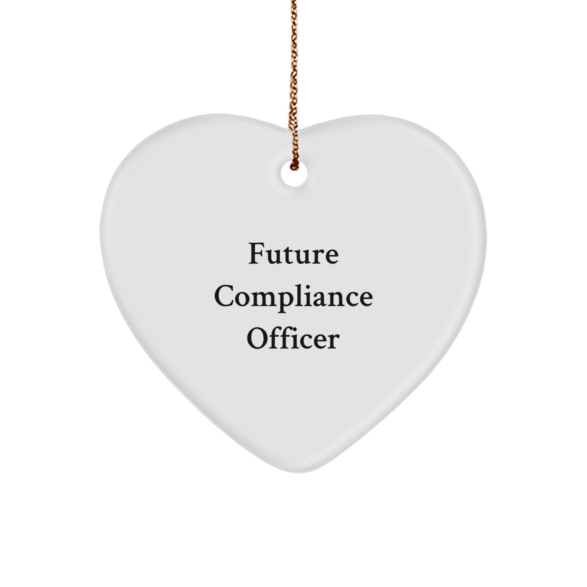Compliance Officer Christmas Unique Gifts, Funny Quote Heart Ornament, Gifts from Men, Gifts for Future Compliance Officer, Unique Christmas Unique Gifts - Image 1