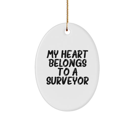 Funny Surveyor Oval Ornament Gifts from Lover for Surveyor Men Christmas Unique Gifts - Image 1