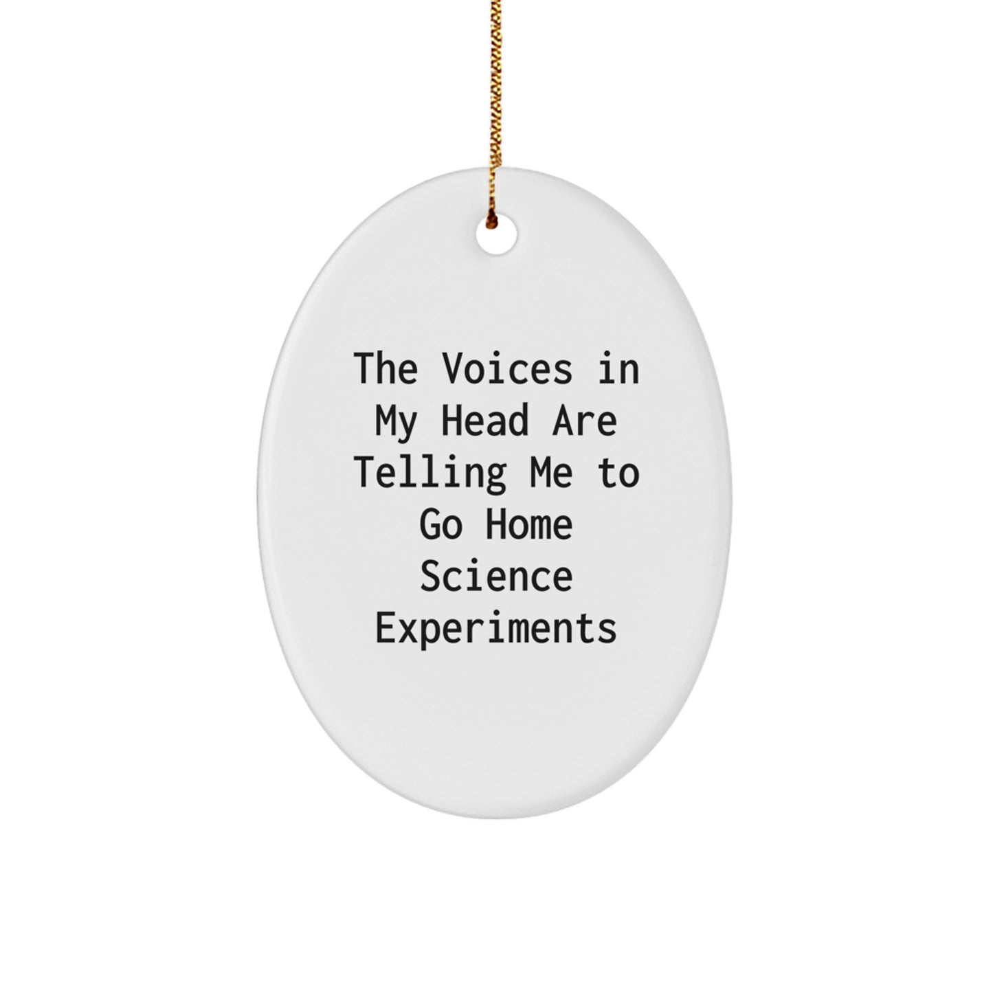 Funny Oval Ornament Home Science Experiments Gifts for Home Science Experiments Enthusiasts, Gifts from Friends, Oval Shaped Home Science Experiments Decorations for Christmas Unique Gifts - Image 1