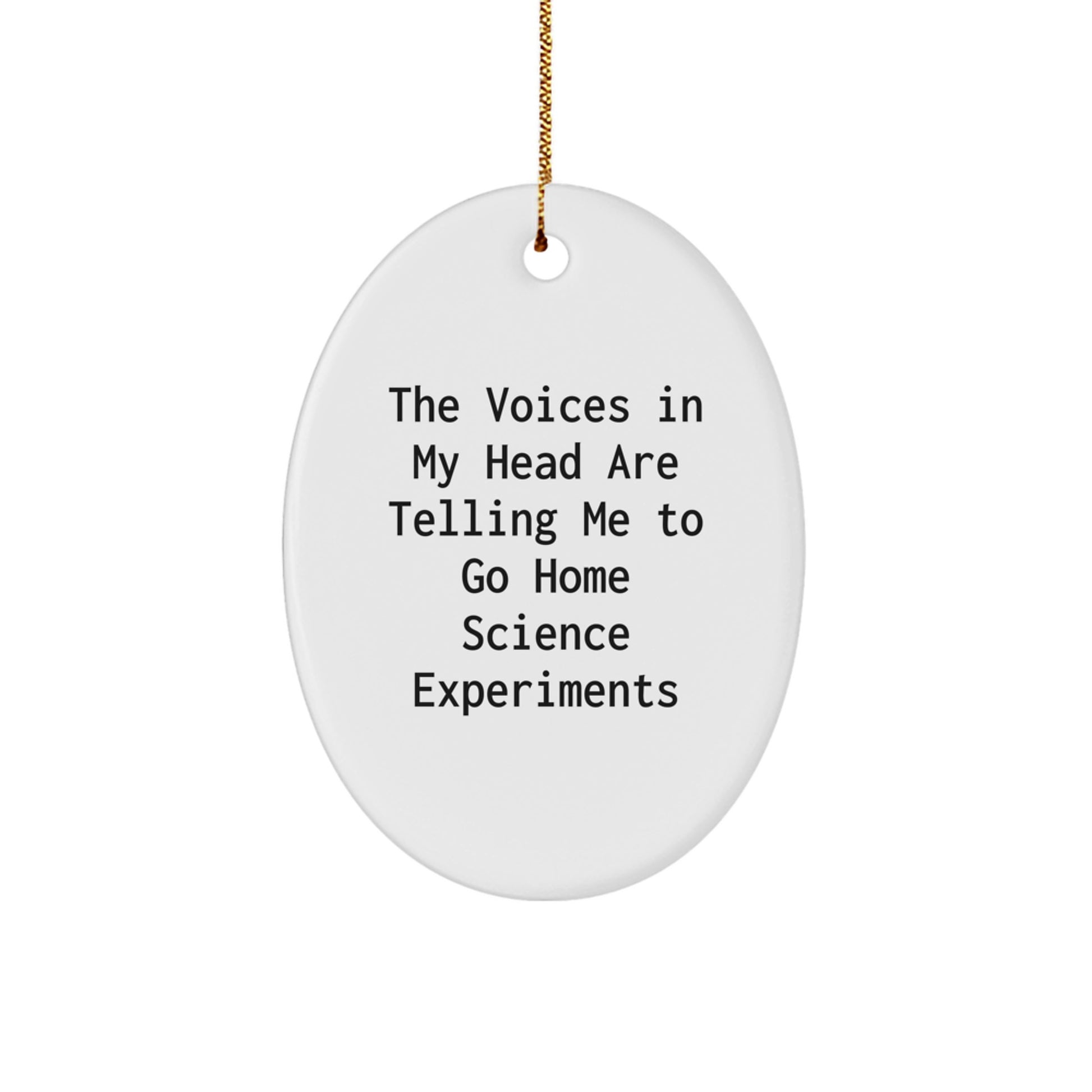 Funny Oval Ornament Home Science Experiments Gifts for Home Science Experiments Enthusiasts, Gifts from Friends, Oval Shaped Home Science Experiments Decorations for Christmas Unique Gifts - Image 1