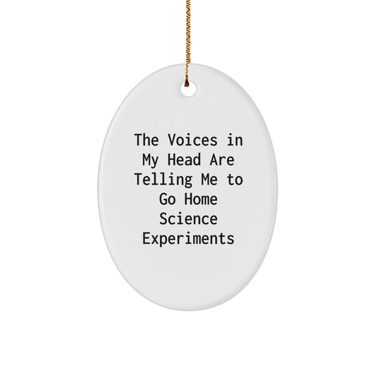 Funny Oval Ornament Home Science Experiments Gifts for Home Science Experiments Enthusiasts, Gifts from Friends, Oval Shaped Home Science Experiments Decorations for Christmas Unique Gifts - Image 1