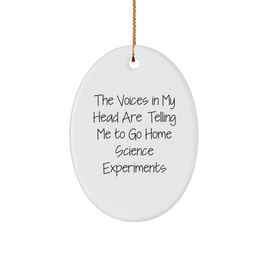 Funny Home Science Experiments Oval Ornament Gifts from Men to Family - The Voices In My Head Are Telling Me To Go - Image 1