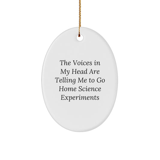 Funny Home Science Experiments Decor Oval Ornament, Gifts for Home Science Experiments Enthusiasts, 'The Voices In My Head Are Telling Me To Go Home Science Experiments' from Friends - Image 1