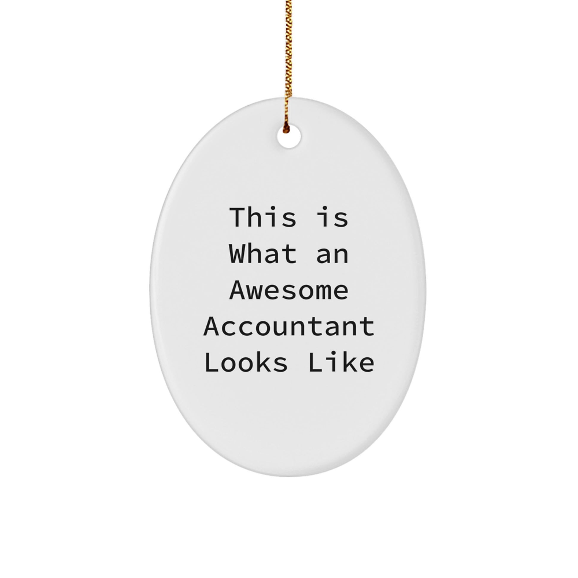 Funny Accountant Gifts from Men to Accountant Friends this Christmas Unique Oval Ornament for Office Decor This Is What An Awesome Accountant Looks Like - Image 1