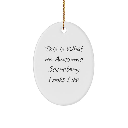 Funny Secretary Gifts from Women, Inspirational Oval Ornament for Secretary, Christmas Unique Gifts for Family, Friends, Coworkers - Image 1