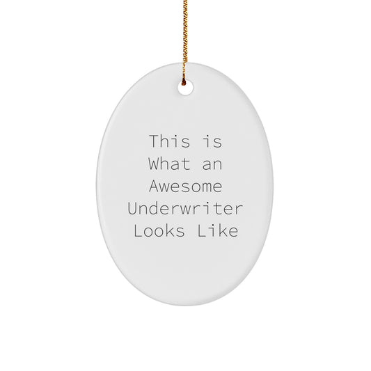 Funny Underwriter Gifts, This Is What An Awesome Underwriter Looks Like, Oval Ornament for Christmas, Gifts from Friends to Underwriter - Image 1