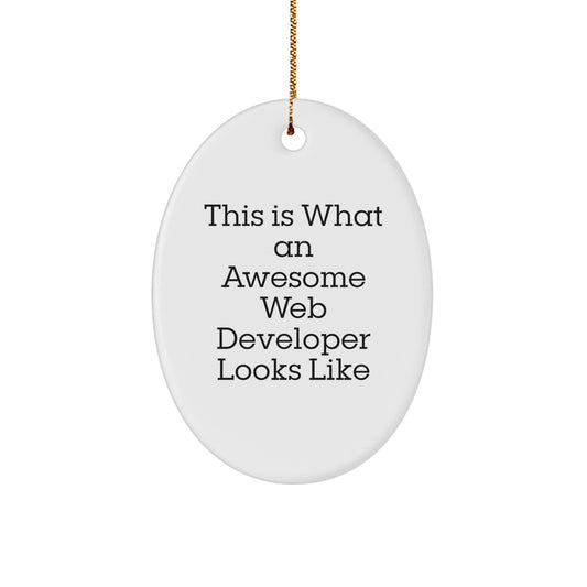 Funny Web Developer Gifts from Friends, 'This Is What An Awesome Web Developer Looks Like' Oval Ornament for Christmas - Image 1
