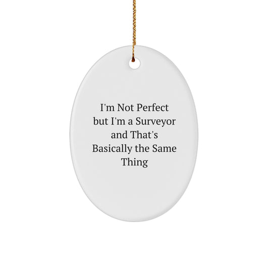 Funny Surveyor Gifts from Friends to Family - 'I'm Not Perfect' Oval Ornament for Christmas - Image 1