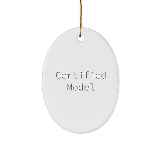 Funny Model Gifts from Friends for Christmas Unique Oval Ornament - Image 1