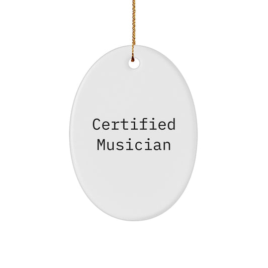 Funny Musician Gifts from Friends for Christmas - Oval Ornament with 'You're a Hit' Quote - Image 1