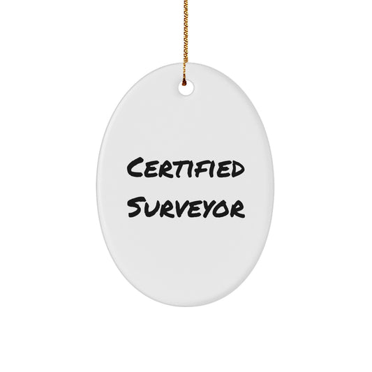 Funny Certified Surveyor Gifts from Men to Family - Oval Ornament for Christmas - Image 1