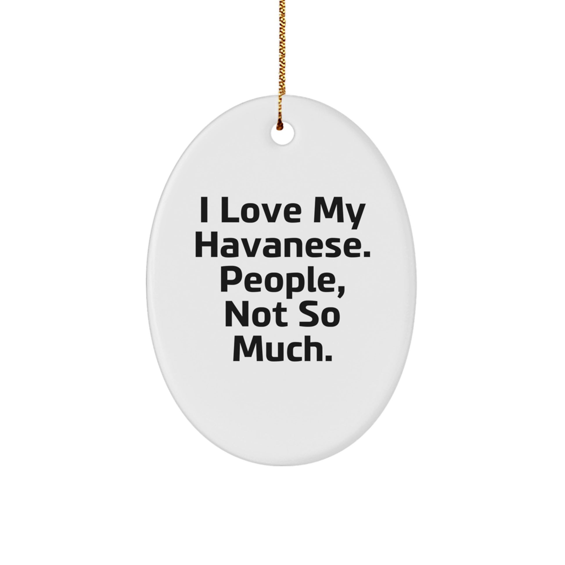 Funny Havanese Dog Oval Ornament Gifts from Friends for Havanese Dog Lovers on Christmas - Image 1