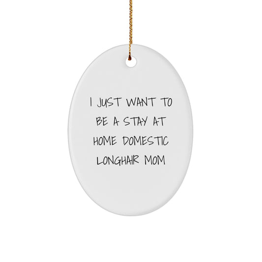 Domestic Longhair Cat Gifts for Her, Funny Quote Oval Ornament, Gifts from Family, Perfect Christmas Unique Gifts for Cat Lovers - Image 1