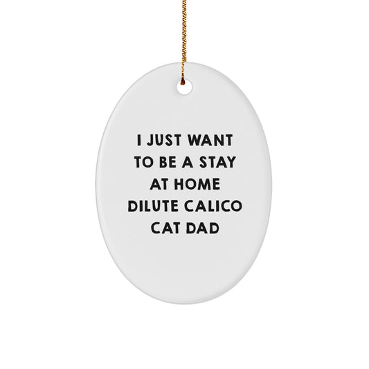 Dilute Calico Cat Dad Gifts, Oval Ornament for Men, Funny Quote, Christmas Unique Gifts from Family - Image 1