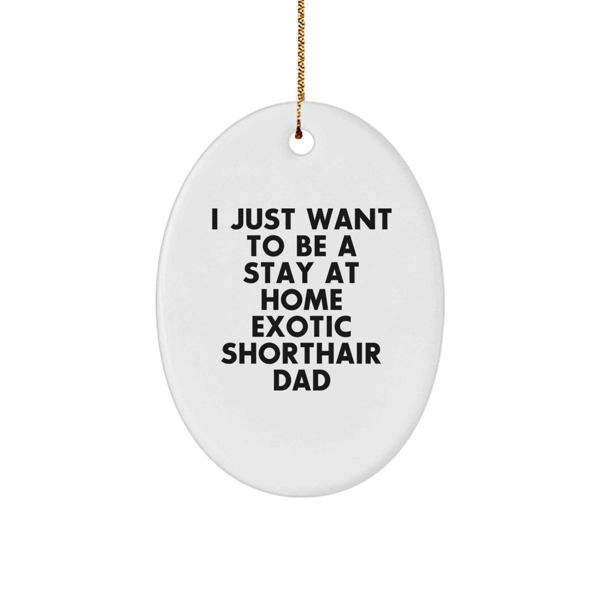 'I Just Want To Be A Stay At Home Exotic Shorthair Dad' Exotic Shorthair Cat Oval Ornament, Gifts for Exotic Shorthair Cat Lovers from Family, Friends, or Coworkers, Christmas Unique Gifts - Image 1