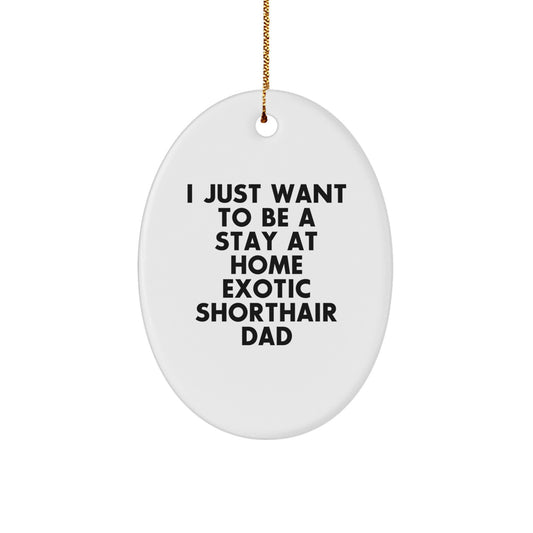 'I Just Want To Be A Stay At Home Exotic Shorthair Dad' Exotic Shorthair Cat Oval Ornament, Gifts for Exotic Shorthair Cat Lovers from Family, Friends, or Coworkers, Christmas Unique Gifts - Image 1