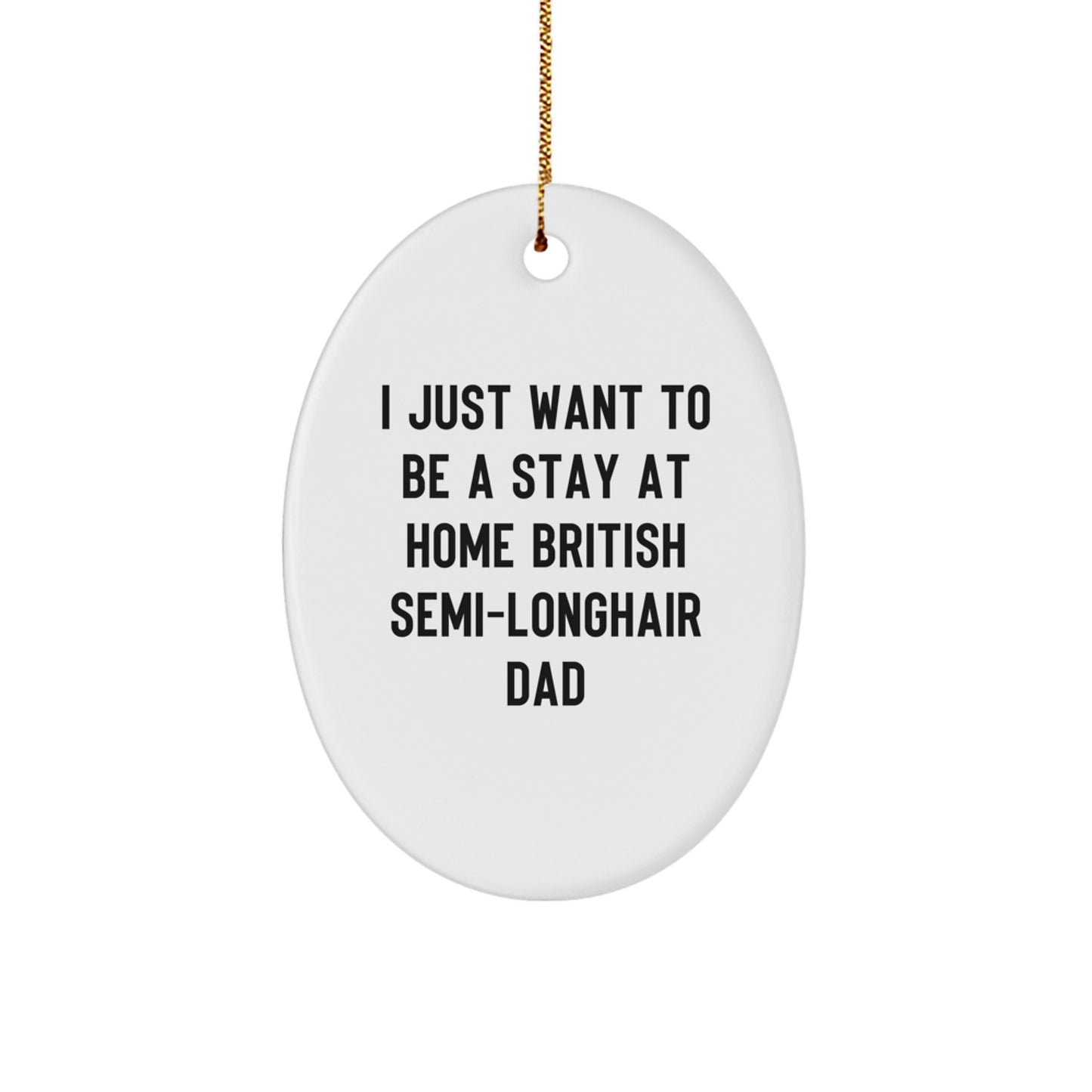 British Semi-Longhair Cat Lover Gifts from Dad, Funny Oval Ornament for British Semi-Longhair Cat Enthusiasts, Christmas Unique Gifts - Image 1