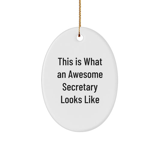 Funny Secretary Gifts from Men for Awesome Secretaries, Oval Ornament, Christmas Unique Gifts - Image 1