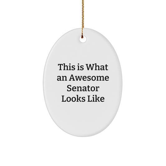 Funny Senator Quotes Oval Ornament Gifts from Men to Men for Christmas, This Is What An Awesome Senator Looks Like, White Oval Shaped - Image 1