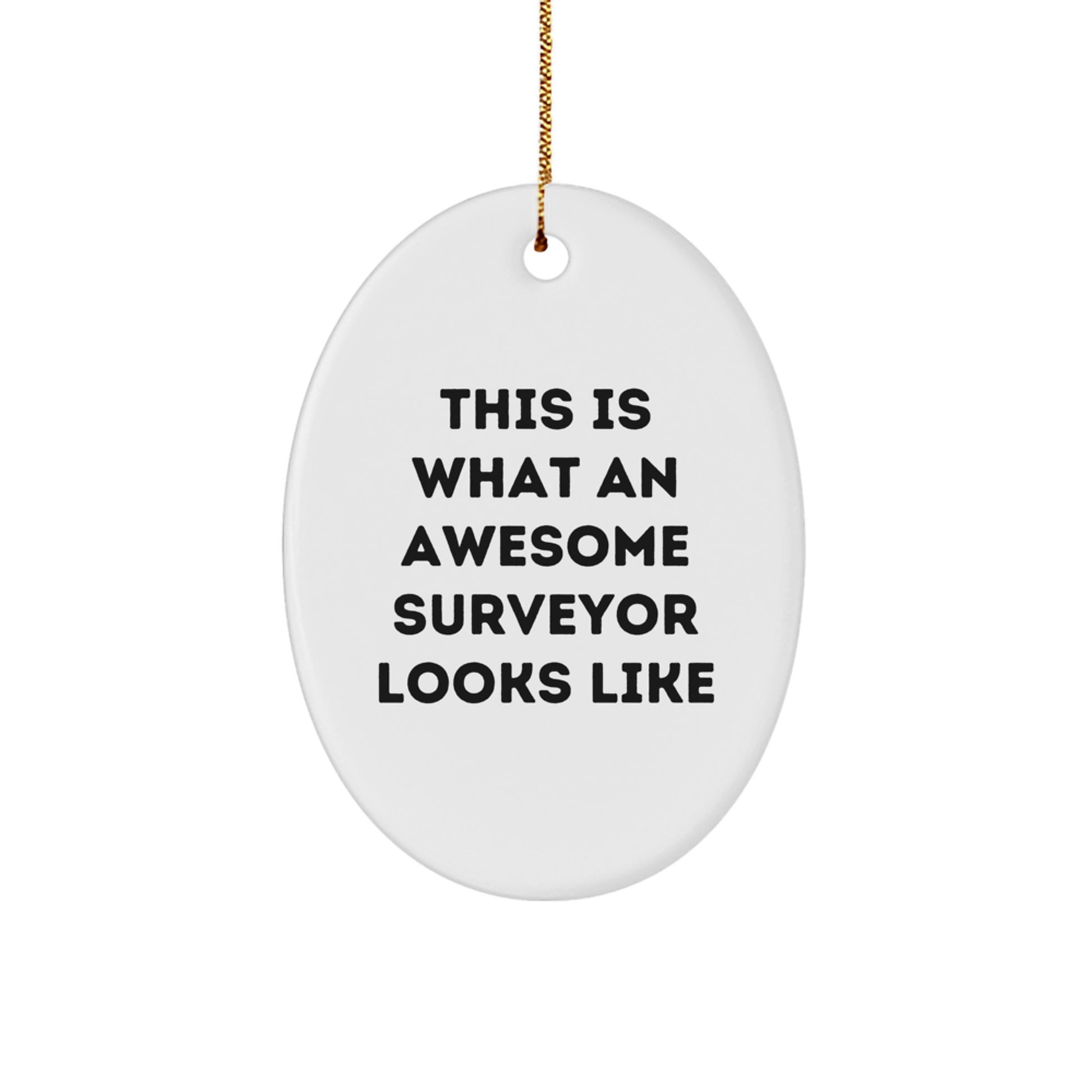 Funny Surveyor Gifts from Men for Christmas - This Is What An Awesome Surveyor Looks Like Oval Ornament, Unique Gifts for Surveyor - Image 1
