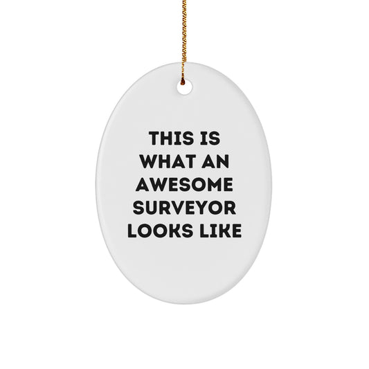 Funny Surveyor Gifts from Men for Christmas - This Is What An Awesome Surveyor Looks Like Oval Ornament, Unique Gifts for Surveyor - Image 1